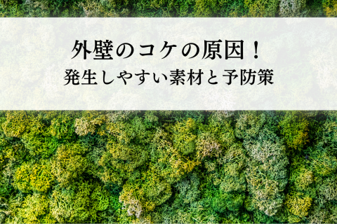 外壁のコケの原因！発生しやすい素材と予防策をわかりやすく解説します