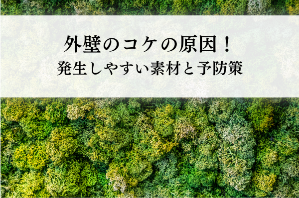 外壁のコケの原因！発生しやすい素材と予防策をわかりやすく解説しますサムネイル